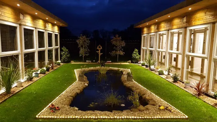 The Paddocks - Luxury Cat Hotel Picture 4