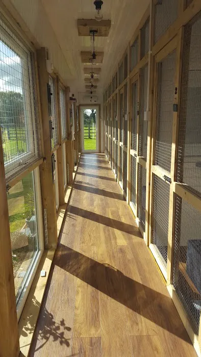 The Paddocks - Luxury Cat Hotel Picture 5