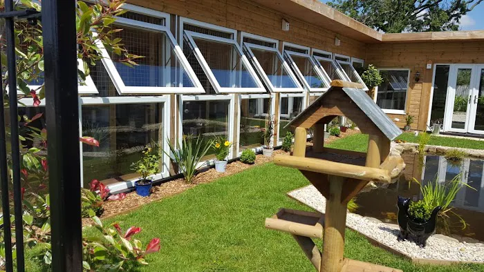 The Paddocks - Luxury Cat Hotel Picture 7