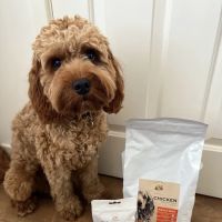 Lancashire Pet Food Company ico