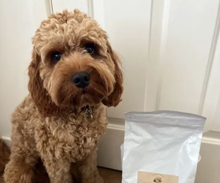 Lancashire Pet Food Company