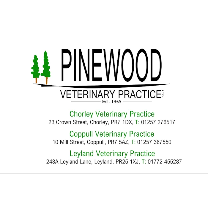 Pinewood Veterinary Practice Ltd Picture 5