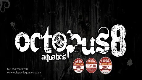 Octopus 8 Aquatics Picture 3