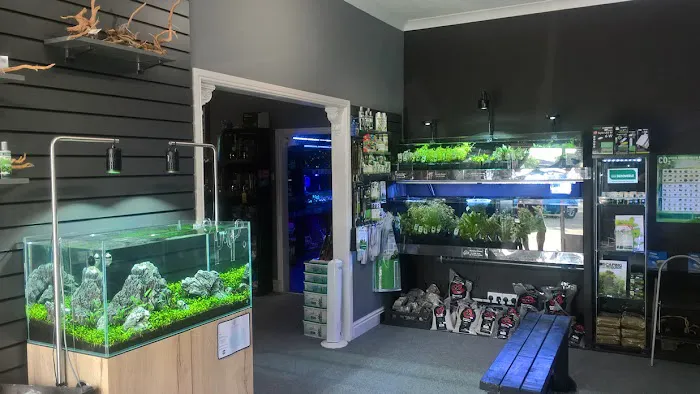 Octopus 8 Aquatics Picture 1