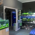 Octopus 8 Aquatics