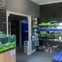 Octopus 8 Aquatics ico