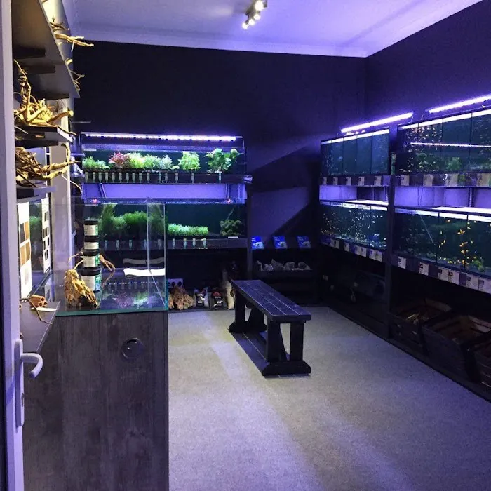 Octopus 8 Aquatics Picture 4