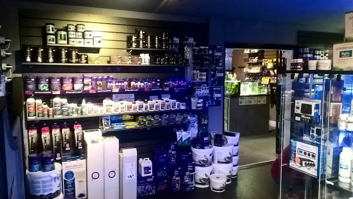 Octopus 8 Aquatics Picture 5