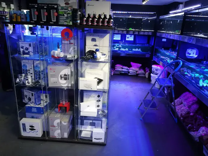 Octopus 8 Aquatics Picture 6