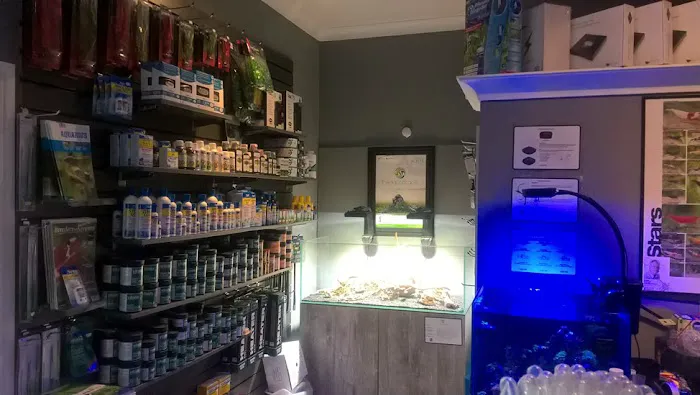 Octopus 8 Aquatics Picture 8