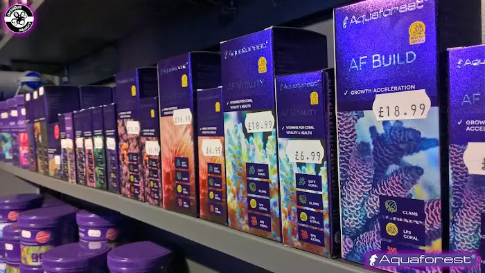 Octopus 8 Aquatics Picture 9