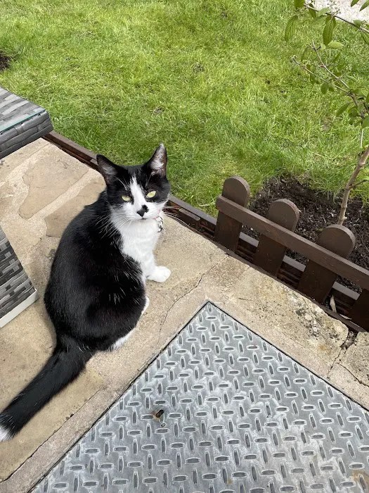 Holmefield Veterinary Clinic Picture 7