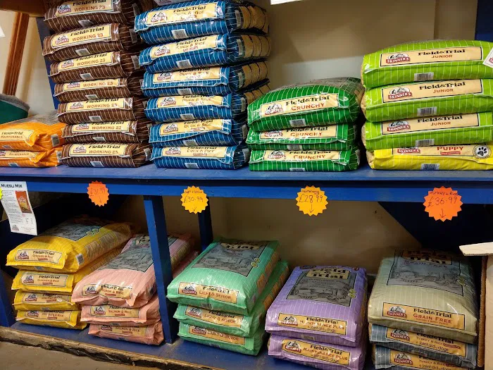 The Pet Shop Picture 7