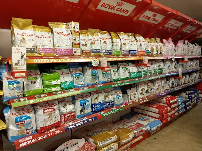 The Pet Shop Picture 6