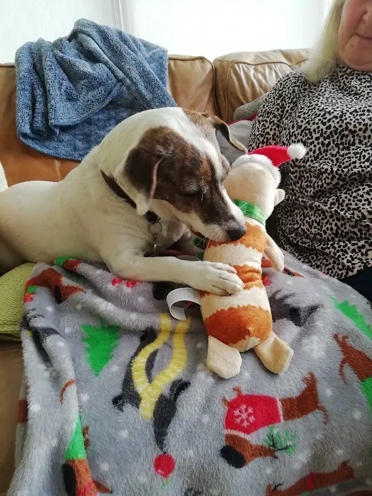 VetCare Selby Picture 1