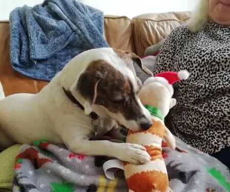 VetCare Selby