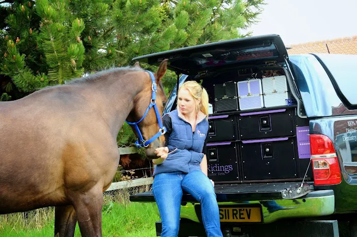 Ridings Equine Vets Picture 1