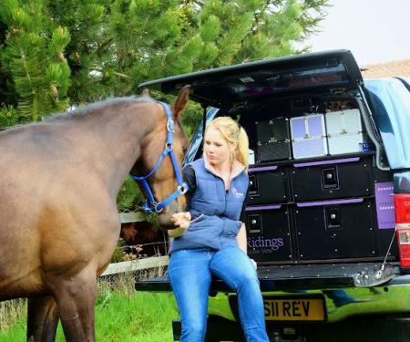 Ridings Equine Vets