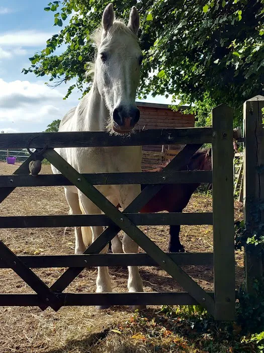 Ridings Equine Vets Picture 2