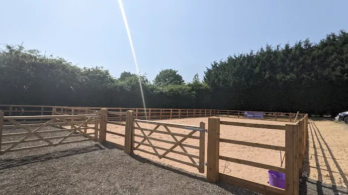 Ridings Equine Vets Picture 3