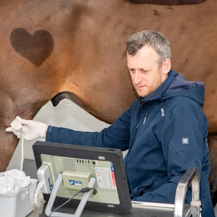 Ridings Equine Vets Picture 7