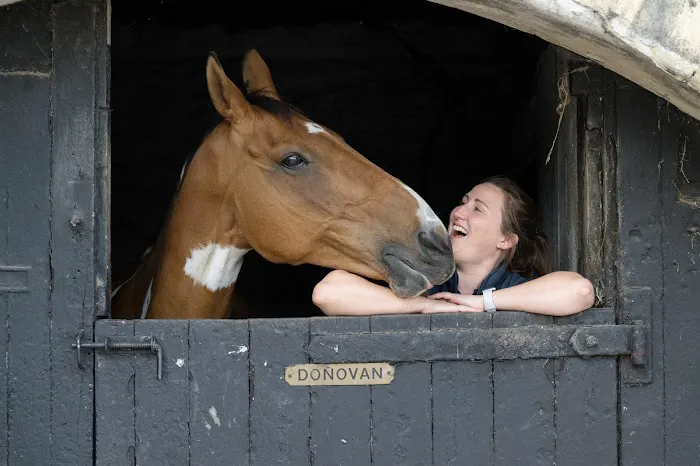 Ridings Equine Vets Picture 5