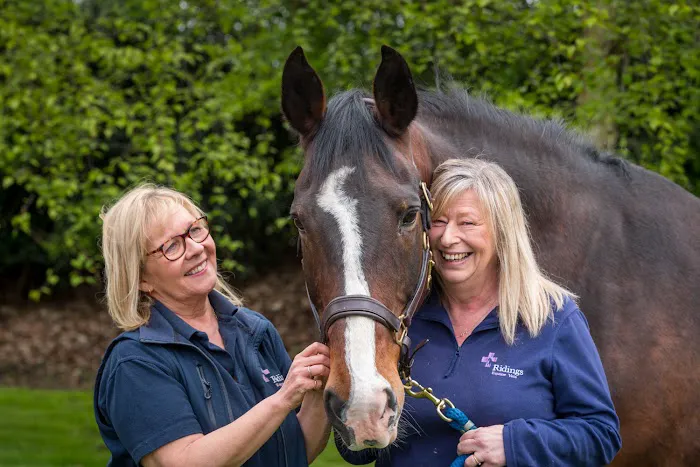 Ridings Equine Vets Picture 8