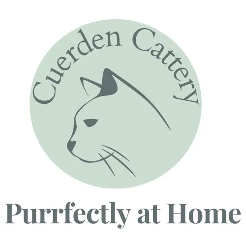 Cuerden Cattery Picture 1