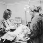 Medivet Bamber Bridge - Withy Grove Vets