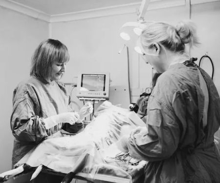 Medivet Bamber Bridge - Withy Grove Vets