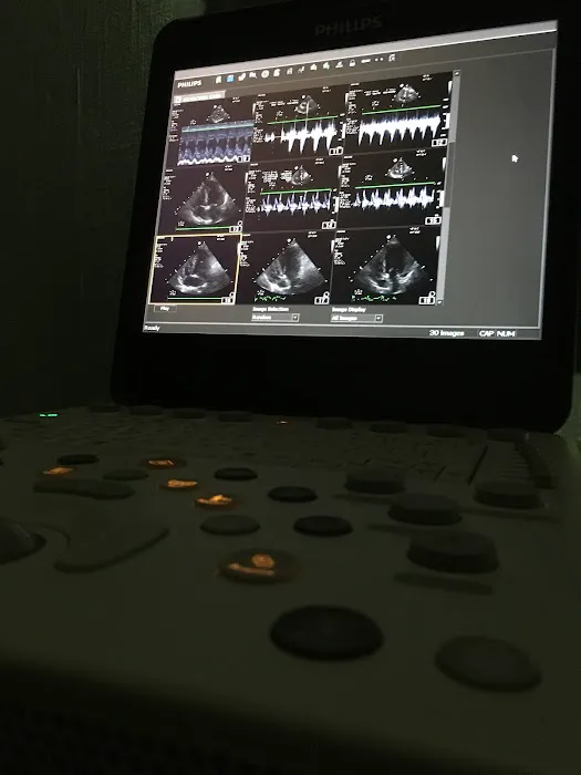 Veterinary Ultrasonography Support Ltd Picture 1