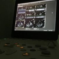 Veterinary Ultrasonography Support Ltd ico