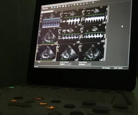 Veterinary Ultrasonography Support Ltd
