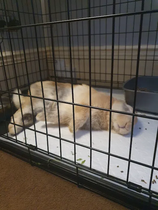 Ayres Veterinary Centre - Whitley Bay Picture 3