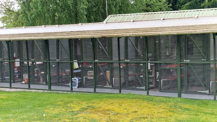 The Greenacres Cattery Picture 1