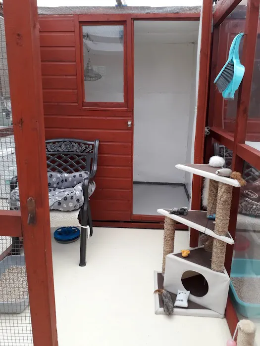 Bridge House Cattery Picture 1
