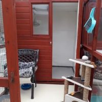 Bridge House Cattery ico