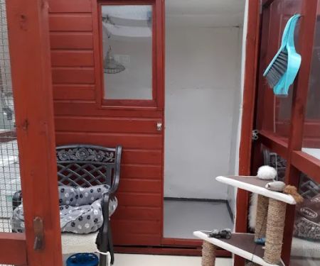 Bridge House Cattery