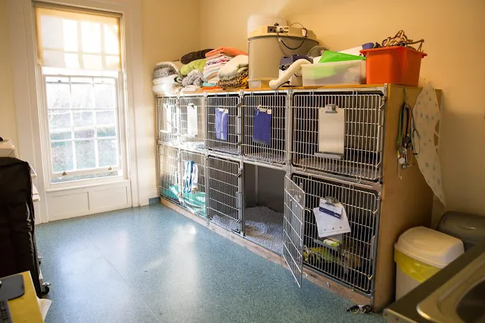 Arundell Veterinary Care, Toll Bar Picture 2