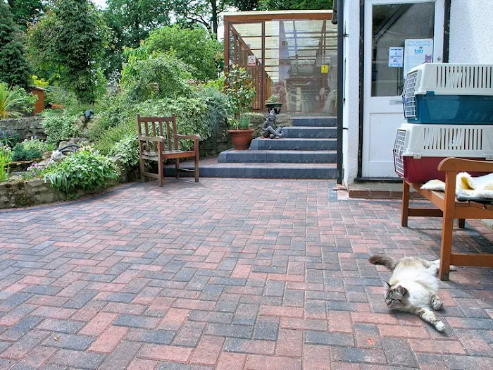 Adwick Cats Lodge Picture 7
