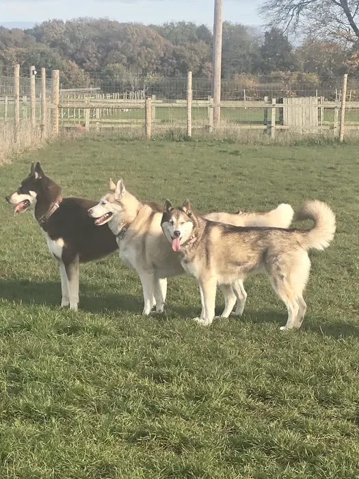 Arundell Veterinary Care, Kirk Sandall Picture 9