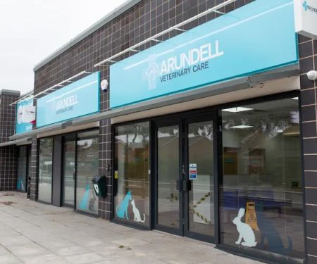 Arundell Veterinary Care, Kirk Sandall