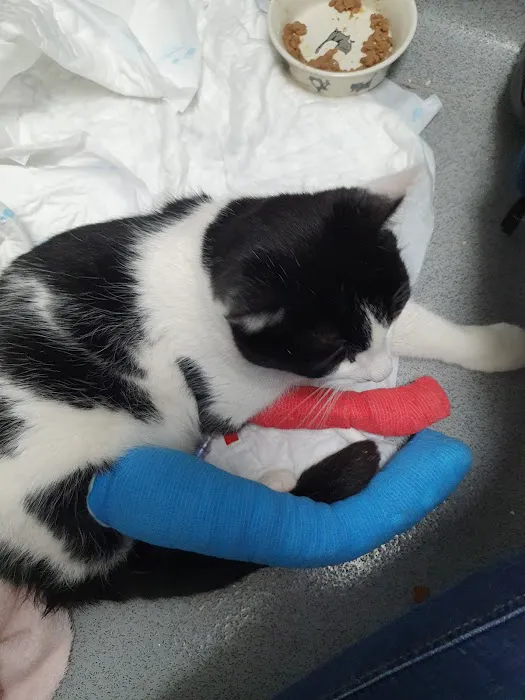 Vets Now Doncaster Picture 5