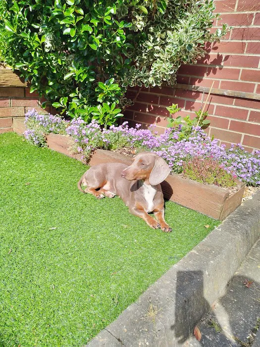 Rase Veterinary Centre - Scawthorpe Picture 7