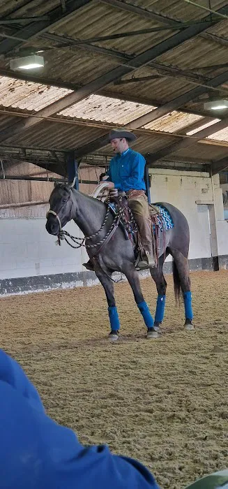 Equine Veterinary Centre Picture 3