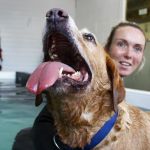 Burntwood Canine Hydrotherapy Doncaster