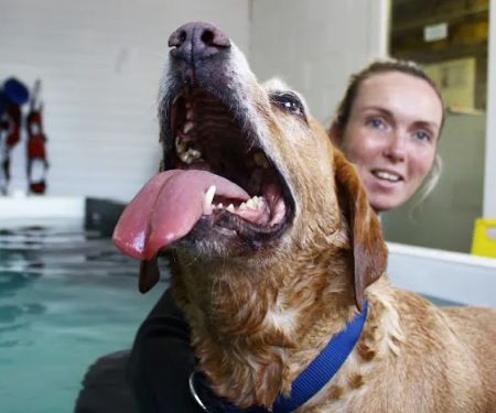 Burntwood Canine Hydrotherapy Doncaster