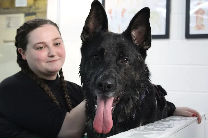 Burntwood Canine Hydrotherapy Doncaster Picture 2