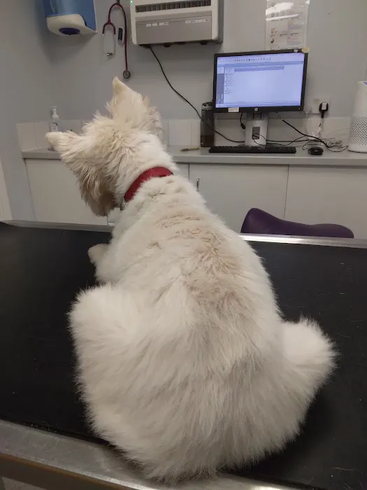 Vets4Pets Doncaster Picture 4