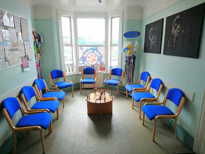 Bentley Road Vets Picture 4